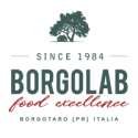 Borgolab
